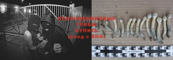 мет Бородино