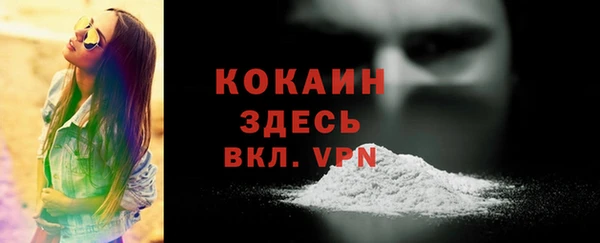 мет Бородино