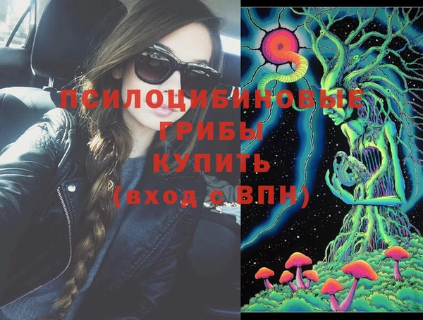 мет Бородино
