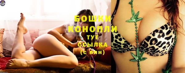 мет Бородино