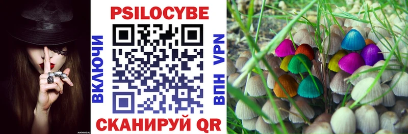 Купить где Магас Псилоцибиновые грибы Cubensis